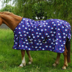 Lightweight Turnout Rug