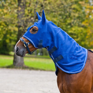 Horse Hood