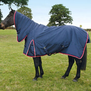 Heavyweight Turnout Rug