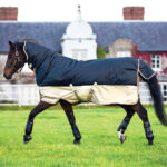 Lightweight Turnout Rug