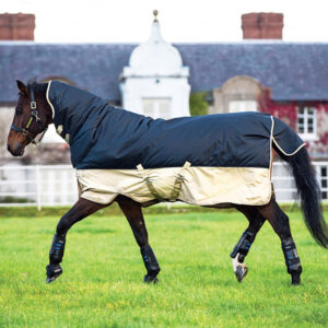 Lightweight Turnout Rug