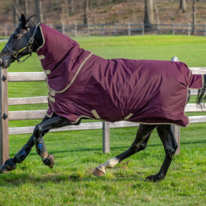 Lightweight Turnout Rug