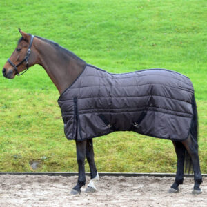 Stable Rug