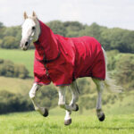 Lightweight Turnout Rug