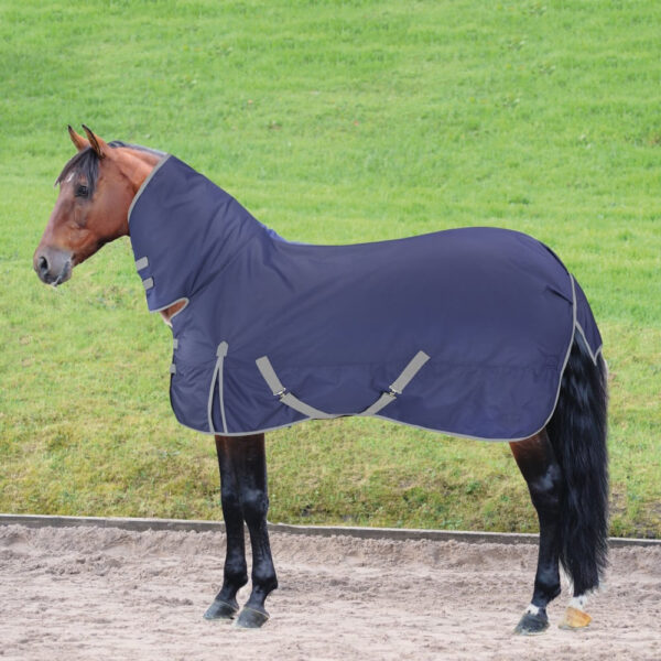 Pony Rug