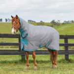 Heavyweight Turnout Rug