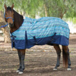 Heavyweight Turnout Rug