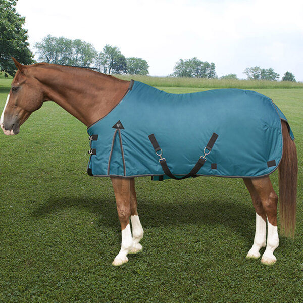 Heavyweight Turnout Rug