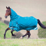 Heavyweight Turnout Rug