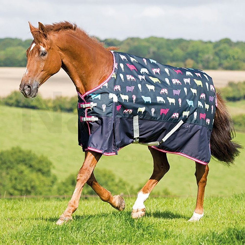 Lightweight Turnout Rug Gallop Shop