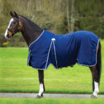 Stable Rug