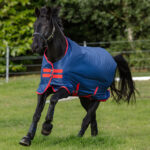 Lightweight Turnout Rug