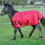 Heavyweight Turnout Rug