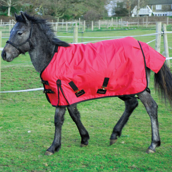 Heavyweight Turnout Rug