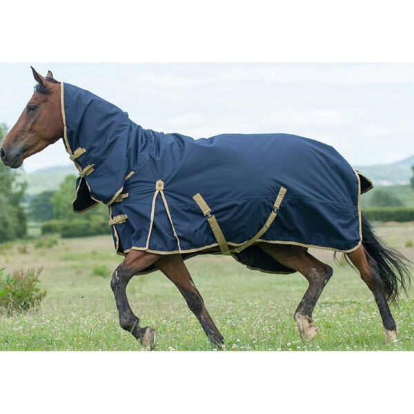 Heavyweight Turnout Rug