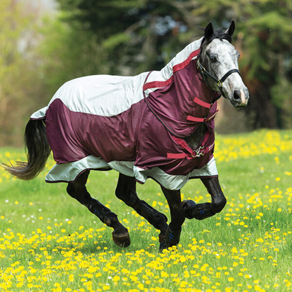 Lightweight Turnout Rug