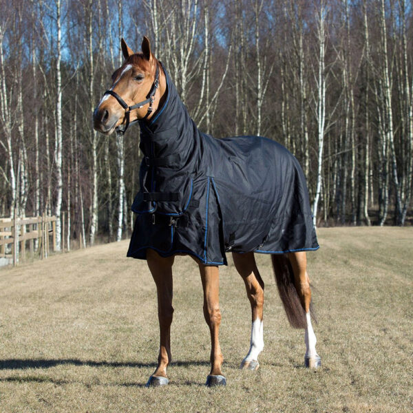 Avalanche Rug