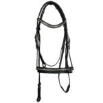 Leather Bridle