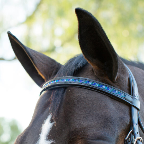 Browband