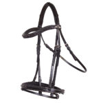 Leather Bridle