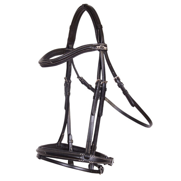 Leather Bridle