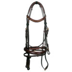 Leather Bridle