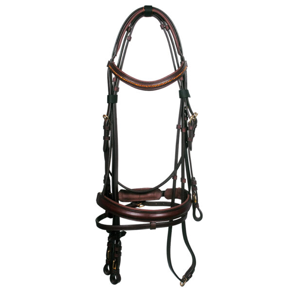 Leather Bridle