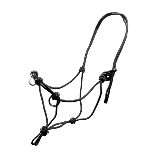 Rope Halter