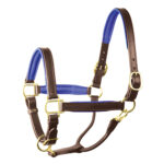 Leather Halter