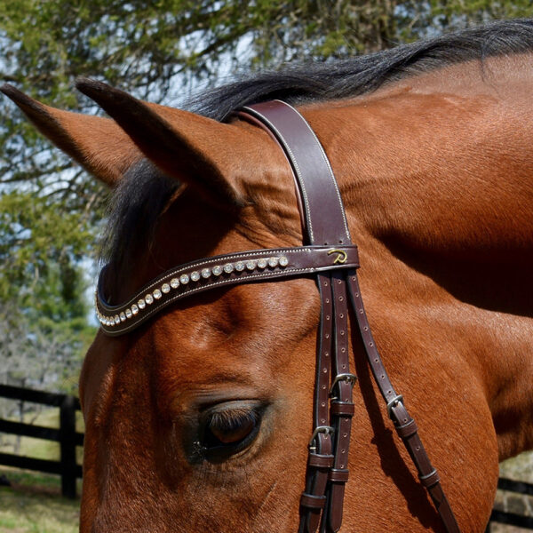 Browband