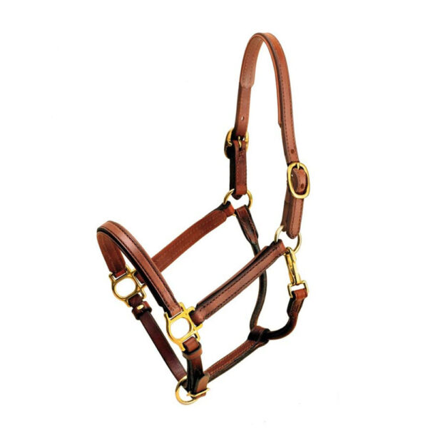 Leather Halter