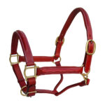 Leather Halter