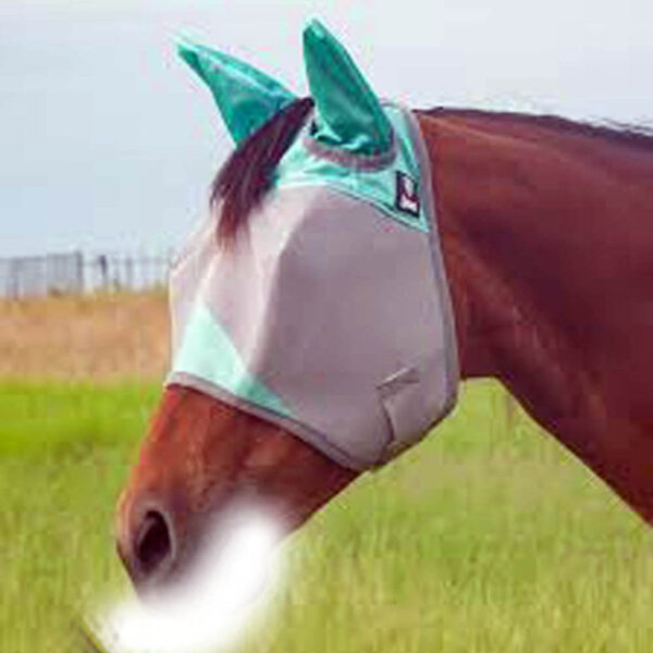 Fly Mask