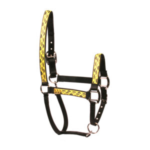 Leather Halter