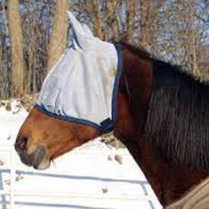 Fly Mask