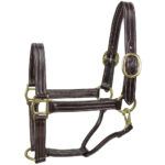 Leather Halter