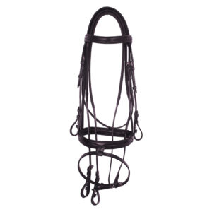 Leather Bridle