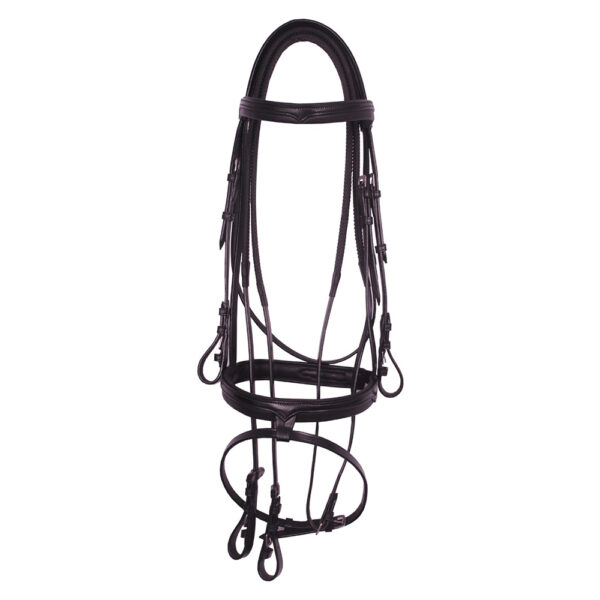 Leather Bridle