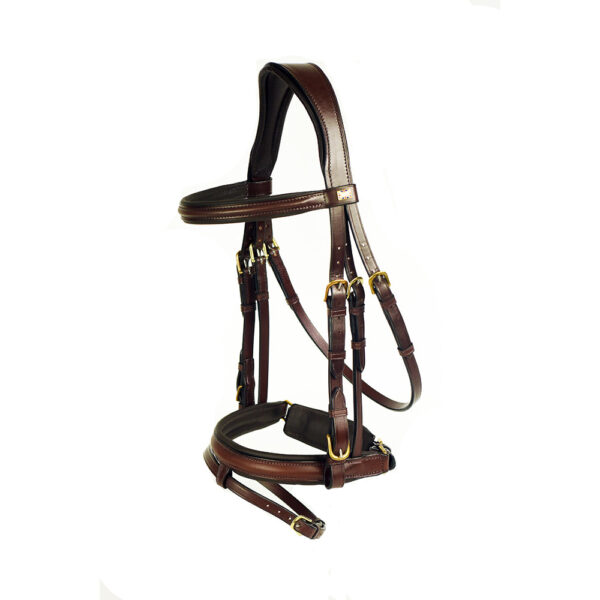 Leather Bridle