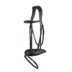 Leather Bridle