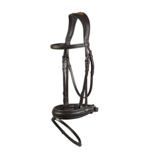 Leather Bridle