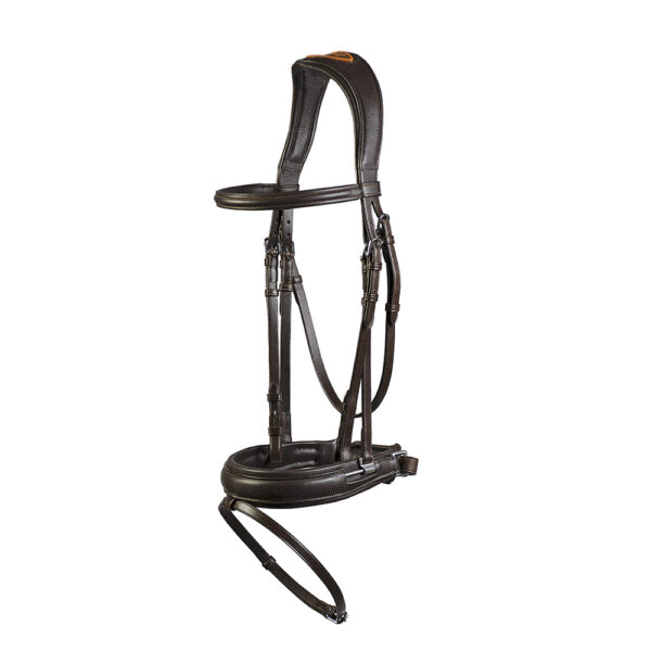 Leather Bridle