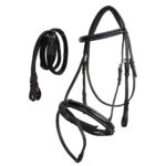 Leather Bridle