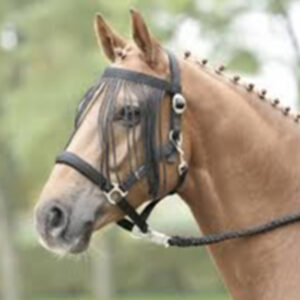 Browband