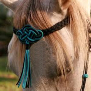 Browband