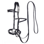 Leather Bridle