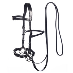 Leather Bridle