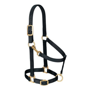 Leather Halter