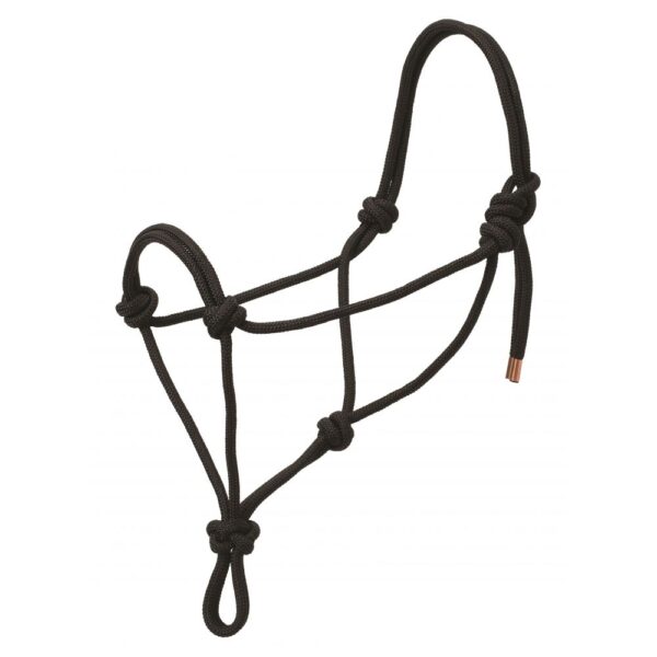 Rope Halter