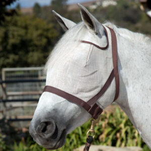 Fly Mask